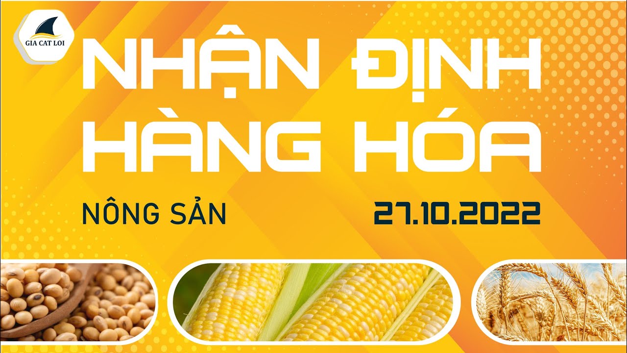 Nhận Định Thị Trường Kim Loại Ngày 27/10/2022