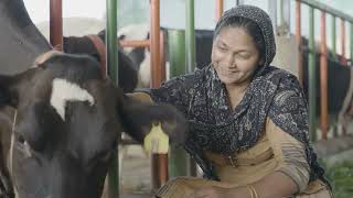Nestlé — Nestlé Dairy Plan: Regenerative feed solutions for lower-carbon dairy farming