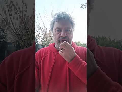 La forza politica italiana del XXI secolo secondo Chatgpt