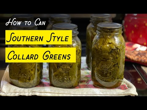 PREPPER PANTRY How to Can Collard Greens SOUTHERN STYLE recipe (ham hocks or side meat) #prepping