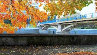 Vladikavkaz ( Владикавказ )