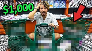 I Spent $1,000 at Japan's BIGGEST 𝐻Ǝ𝒩𝒯𝒜𝐼 Store