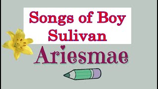 Non Stop Songs of Boy Sullivan