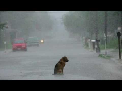 Souljah Jerome - ¿QUIEN? (2016)