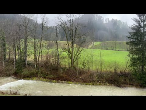 Mit dem Thurbo von Rüti ZH nach Winterthur (18.03.2024)
