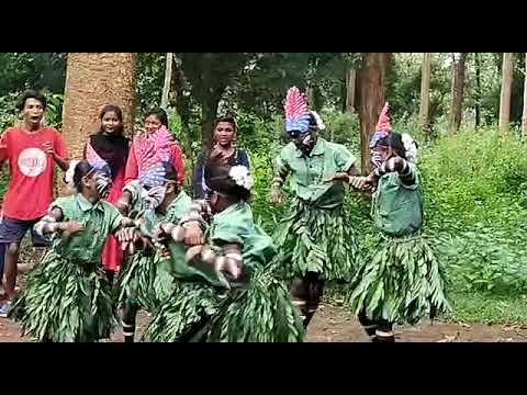 BSG Karnataka / Kodagu / Tribal Dance / Govt Higher Primary School Kutta / Guides