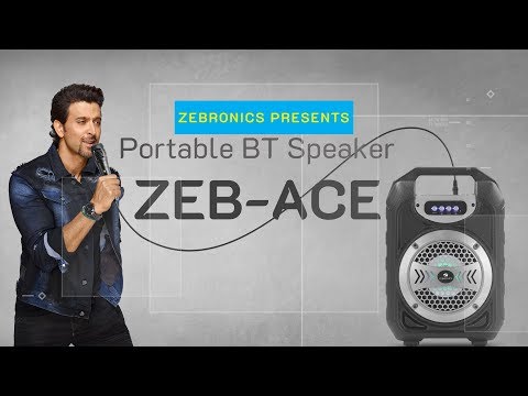 Zebronics bluetooth speaker, size: 204 x 127 x 304 mm, 8w