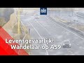 Terwijl het verkeer over de A59 raast, stak maandag een man bij Rosmalen de snelweg over. Dit bli...