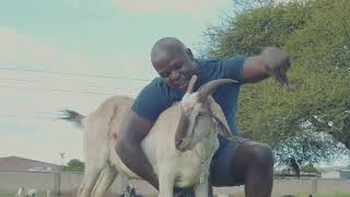 Download lagu Njanji - Mbudzi mp3