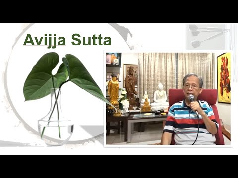 Avijja Sutta