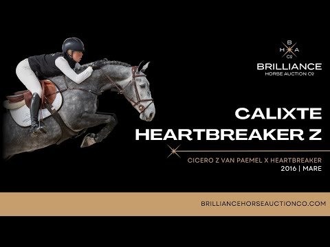 Calixte Heartbreaker Z - National Championships 2023