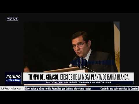 Tiempo de girasol, efectos de la megaplanta en Bahía Blanca: charlamos con Juan Martín Salas