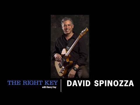 Guitarist David Spinozza