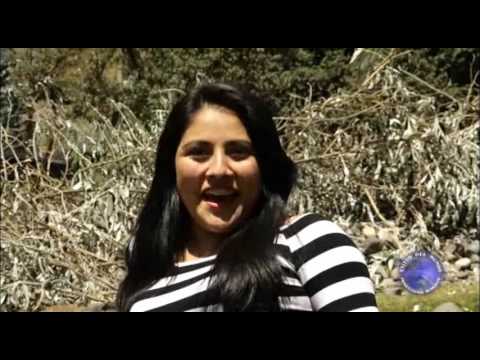 duo chotano los engreidos de tu corazón  video clip 2017   te he vuelto haber