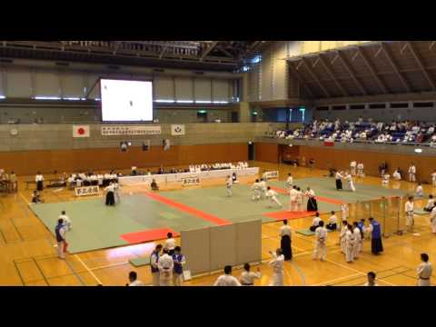 25 th Embutakai Urayasu Demo:Bujinkan Dojo, Isshinkan Dojo