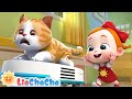 Welcome To Our Home EP43 LiaChaCha Nursery Rhymes Baby Songs