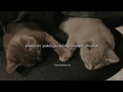 Birkan Nasuhoğlu-Hani Dersin Ya Tamam (Şarkı Sözleri)