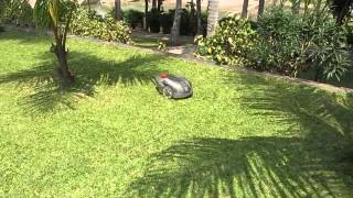 2015-02-22 Robo Mower, Luang Prabang