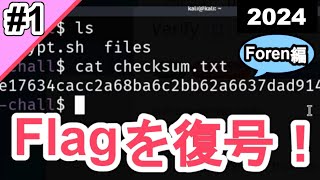 【CTF入門#1】Verifyを解く！【picoCTF2024 / Foren】#サイバーセキュリティ #プログラミング