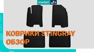 Stingray Коврики в салон автомобиля Honda Civic VIII hatchback (1008114) - відео 1