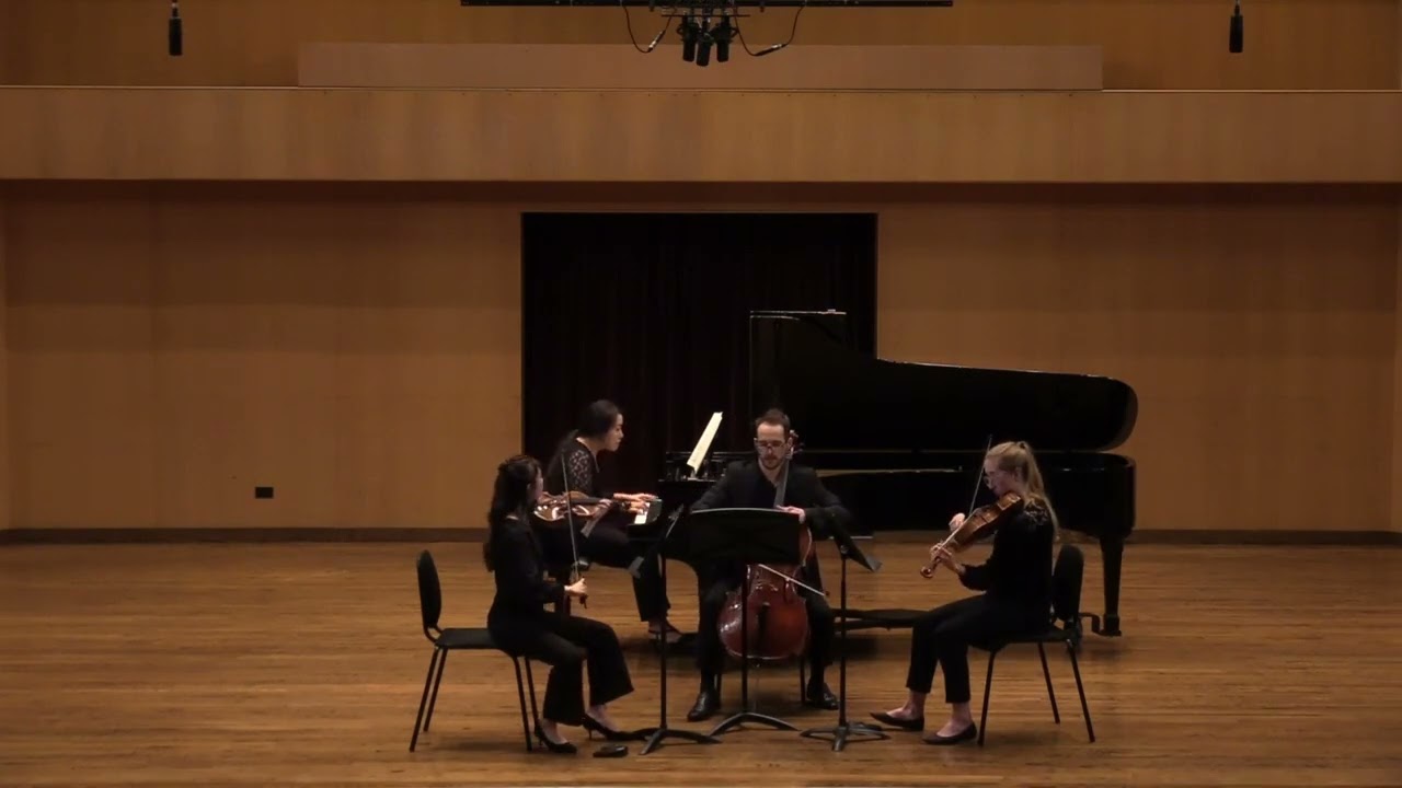Promotional video thumbnail 2 for Freelance Cellist