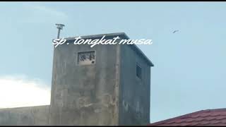 Download lagu tes sp tongkat musa mp3 Download lagu tes sp tongkat musa mp3