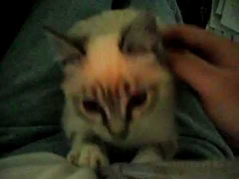 Markita doing what she does best.AVI