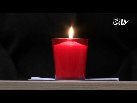 Pregled dana 2.2.2021.