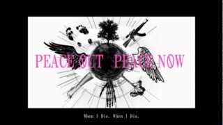 Cover art for The fool who raised the middle finger to the center of the world