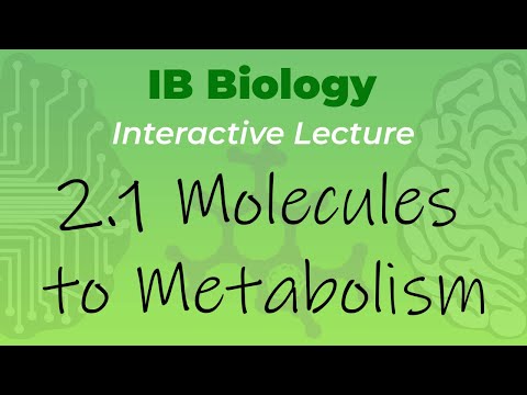 [OLD2016] IB Biology 2.1 - Molecules to Metabolism - Interactive Lecture