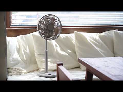 Prime 3 Wireless Fan