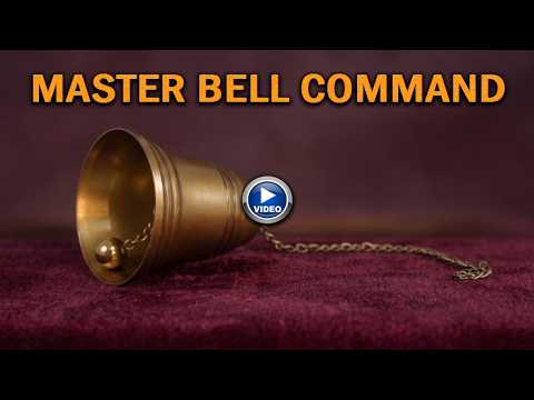 Voir la vidéo de Master Bell Command - MGI Company