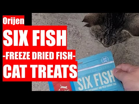 REVIEW: Orijen - SIX FISH - Freeze Dried - Cat Treats!