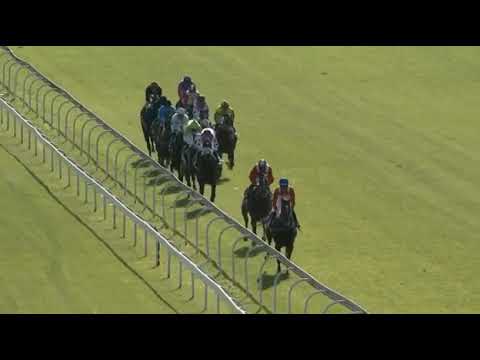 WAR OF ATHENA - Wilgerbosdrift Triple Crown winner 2021