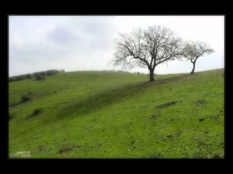 A3Bandas - El Arca De Noe