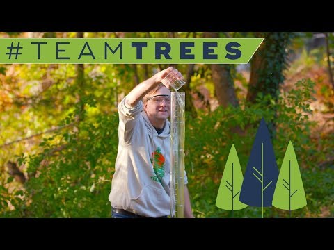Making a foamy Chemis-Tree for  TeamTrees
