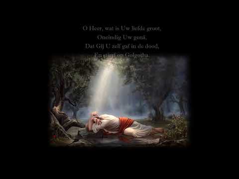 o Heer, wat is Uw liefde groot (Johannes de Heer 148)