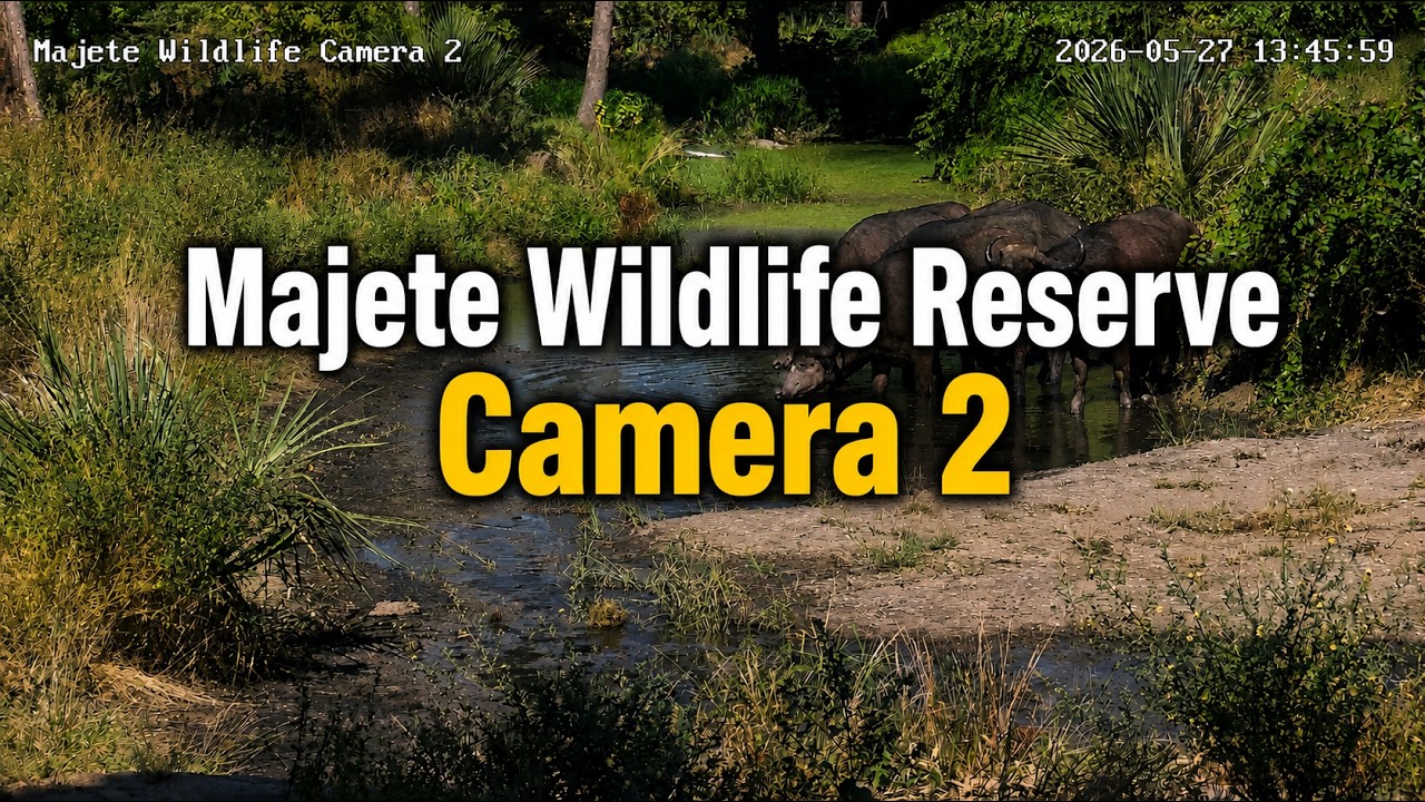 Live webcam view of Majete Wildlife Reserve Cam 2