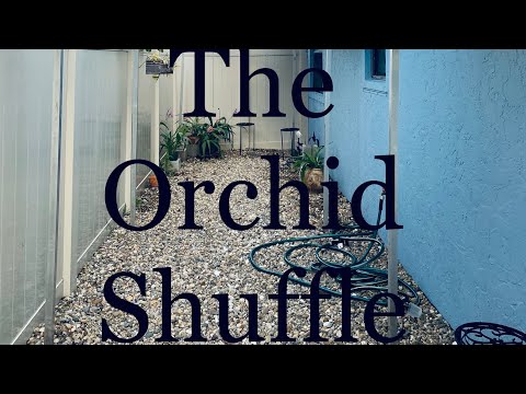 Preparing For the Cold: Doing the Orchid Shuffle January, 2022