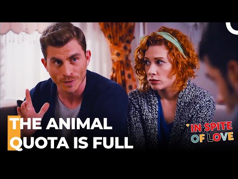 Cinar's Stern Warning - In Spite Of Love Episode 84