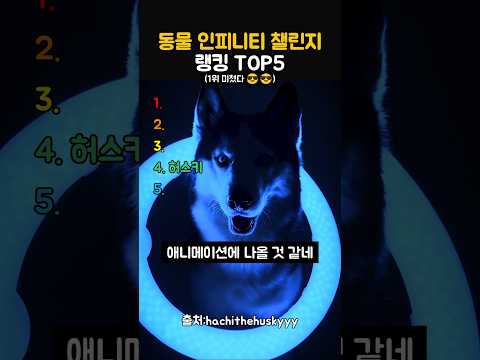 동물 인피니티 챌린지 랭킹 TOP5