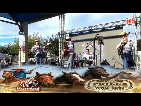 EN VIVO XXIV TRILLA A YEGUA SUELTA YUMBEL