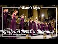 Lo How A Rose E'er Blooming: J. Edmund Hughes - Cantare Children's Choir Calgary