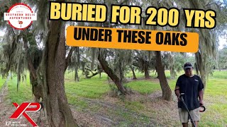 Buried for 200 Years Under These Oak Trees !