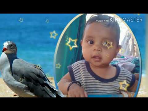 Kalantra Happy birthday jaydip