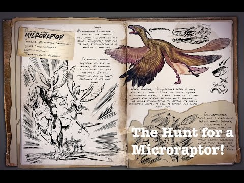 The Hunt for a Microraptor.Where to find/How to tame
