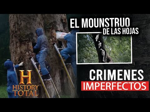 IMPERFECT CRIMES - THE LEAF MONSTER - NEW CHAPTER 2025 COMPLETE