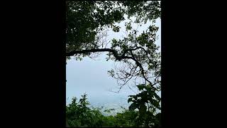 台北大縱走第六段中華科技大學至捷運麟光站