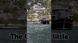 Kotor is breathtaking! #cruise #kotor #montenegro