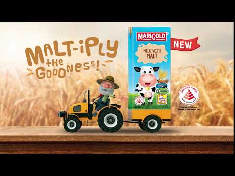 Malt-ipy the Goodness with MARIGOLD UHT Milk with Malt (6s)